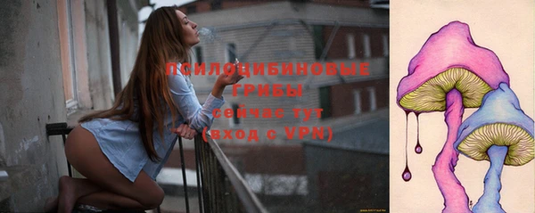 дурь Алексин