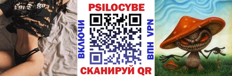 как найти закладки  Катав-Ивановск  Псилоцибиновые грибы Cubensis 